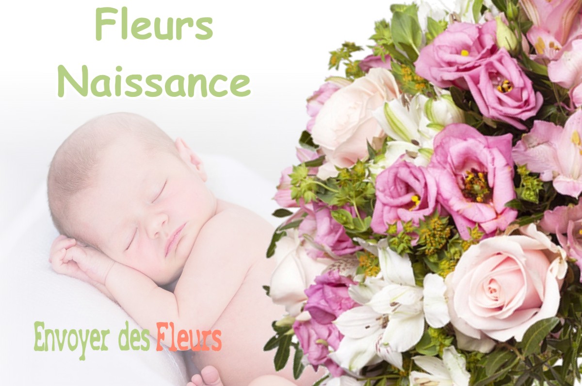 lIVRAISON FLEURS NAISSANCE à THILLOT